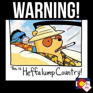 Meet your Posher, Dillon